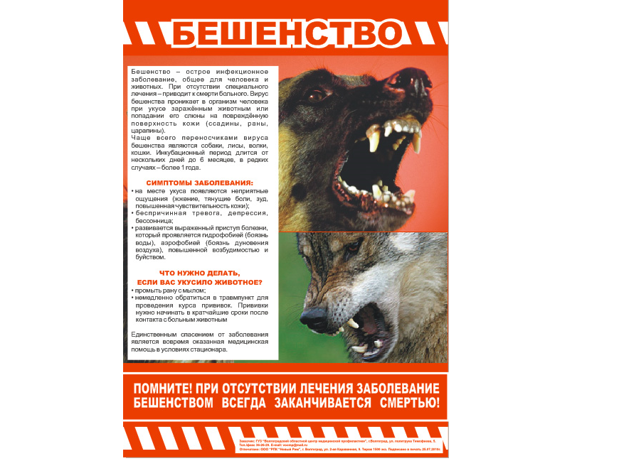 Бешенство!.